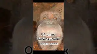 переделка моего старого видео #бибизян #monkey #рофл #пон #обезьяна #бибизяны #мем #брадки #Tishka