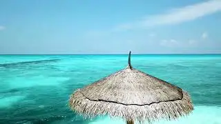 Maldives Bossa Nova 8h