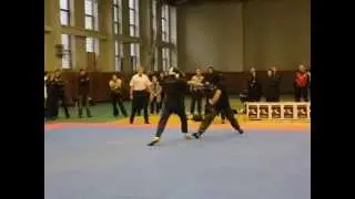 Арнис - 2012  8795