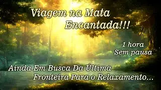 Quer Fugir Da Agitação — Uma Mata Encantada Pode Ajudar a Relaxar!!! 😫 😰 🏃 🌳 🙏