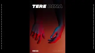 Nesz - Tere Bina, Featuring Aalekh & Dhanush (Lyrical Video)