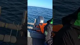 В Баренцевом море рыбалка #fishingbait #рыбалка