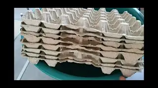 Из яичных упаковок