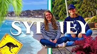 KOALAS und Feuerwerk in SYDNEY