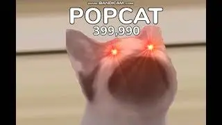 POPCAT(АЙМ ОЛВЭЙС КАМБЭК)4