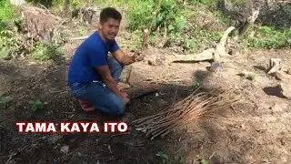 UMPISAHAN  KUNA PARA MAY HINIHINTAY