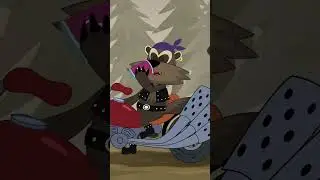 Первая встреча с енотами! 