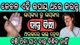 ଭୟଙ୍କର ରୁ ଭୟଙ୍କର ଦାନ୍ତ ବିନ୍ଧା ଥରକରେ ଭଲ ହେବ | Best Home Remedies For Toothache in Odia