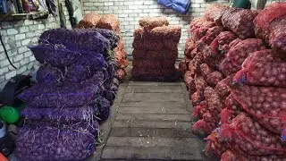 Готовимся к посадке картофеля. Достали семена с хранения.