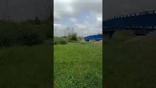 Фиона и яблоко