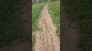 накипевшее - 2