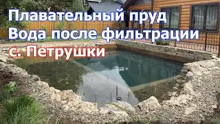 Плавательный пруд Вода после фильтрации Две недели от момента запуска водоема