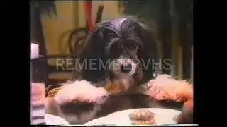 TVE 1 (Continuidad) 1988