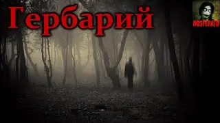 Гербарий - Сборник страшных историй. Часть 3. Страшные истории на ночь. Страшилки на ночь