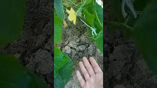 Охрана не дремлет и не спит
