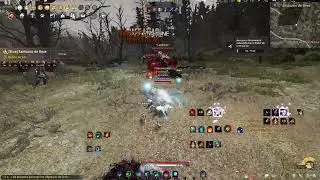 Succession Wizard/ Mago Sucesión BDO Black Desert Online Hexe Sanctuary/ Santuario de Hexe