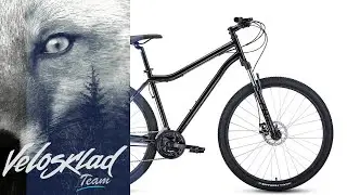 Велосипед Forward Sporting 29 2.0 Disc (2020)