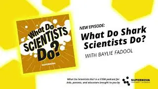 Shark Tales: with Shark Scientist Baylie Fadool