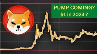 SHIBA INU price prediction | Future of SHIB