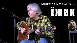 Вячеслав Малежик - ЁЖИК (сл. А. Костерев). Премьера песни! 2024