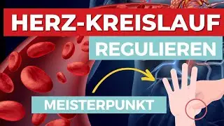 Dieser Meisterpunkt wirkt erstaunlich! - Herz-Kreislauf Regulation