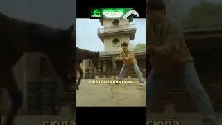 Он спас слабого жеребёнка… и вырастил чемпиона 