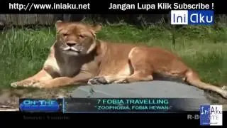 Fobia Traveling On The Spot Terbaru Trans 7