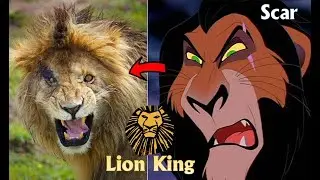 The Lion King In Real Life | JD Cars Toys