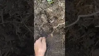 Very good find 