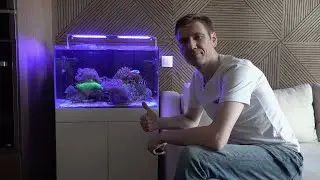 Морской аквариум с мягкими кораллами. Комплект Middle