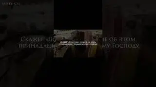 Мухаммад Люхайдан #коран #shortsvideo #аяты #красивоечтениекорана