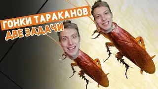 Гонки тараканов. Задачи на движение.