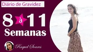Diário de Gravidez - Semana 8 à 11