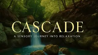 Cascade: The Most Powerful Waterfall I've Ever Seen!
