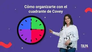 Cómo organizarte mejor con el Cuadrante de Covey  + Mejora tu productividad