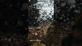 🏔 Поход на оз. Любви и оз. Белкау-Кёль