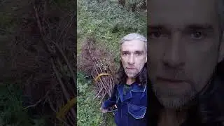 5 июля 2024 г.