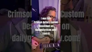 I won an custom made guitar! I love it!