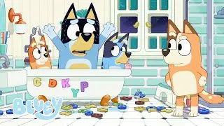 Tiempo en familia con los Heelers | Bluey Español Canal Oficial