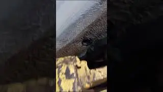 Солярис обработка днища