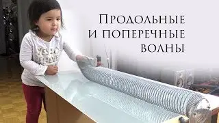 Наука и техника с Риной. Продольные и поперечные волны