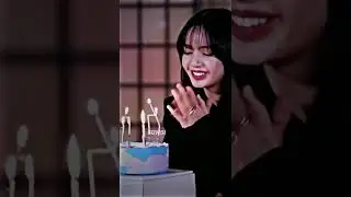 Lisa Blackpink Tamil WhatsApp status|Arabic Kuthu Halamithi Habibo|