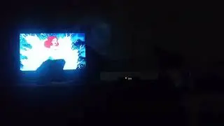 Opening to UP DVD 2009