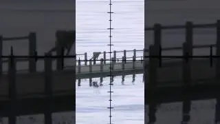 Access Denied #gaming #pvp #dayz #survival #funny #reforger