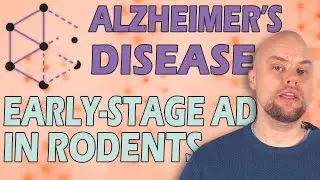 Alzheimer-forskning 3: Tidlig fase av Alzheimers sykdom i gnagere