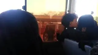 حرائر القصيم في الباص