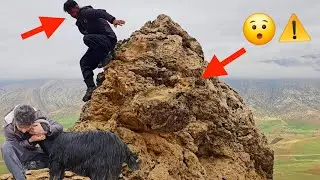 A Bad Thing Happened to Ali while he was Searching for a Lost Goat!