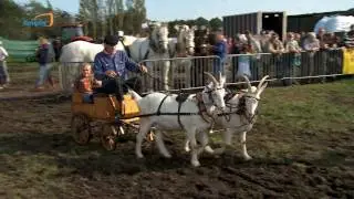 Paardentrek 2010