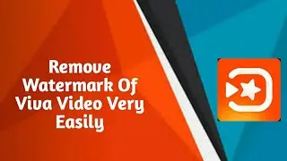 How to remove viva video's watermark