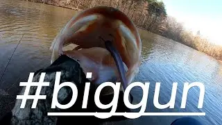 Winter pond fishing for BIG BASS!!! (Overloaded Outdoors Carrot stick)